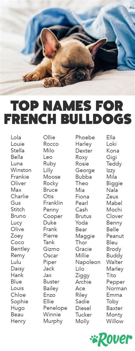 French Bulldog Names Made Easy: Browse Our Trending ...